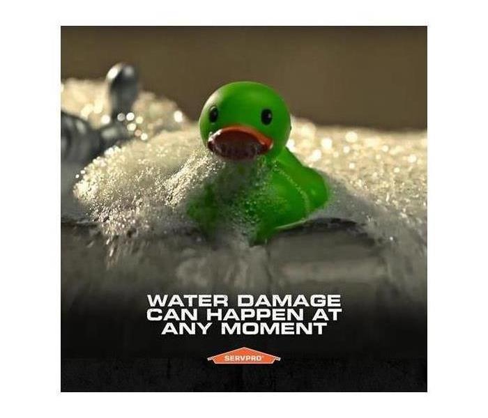 Green duck facing water damage